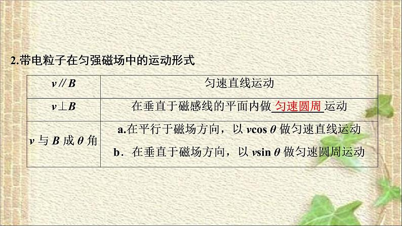 2022-2023年高考物理一轮复习 磁场 课件第4页