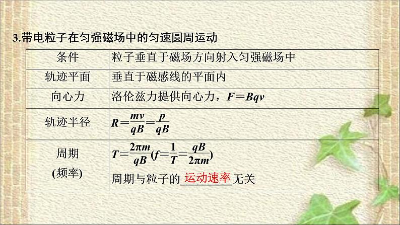 2022-2023年高考物理一轮复习 磁场 课件第5页