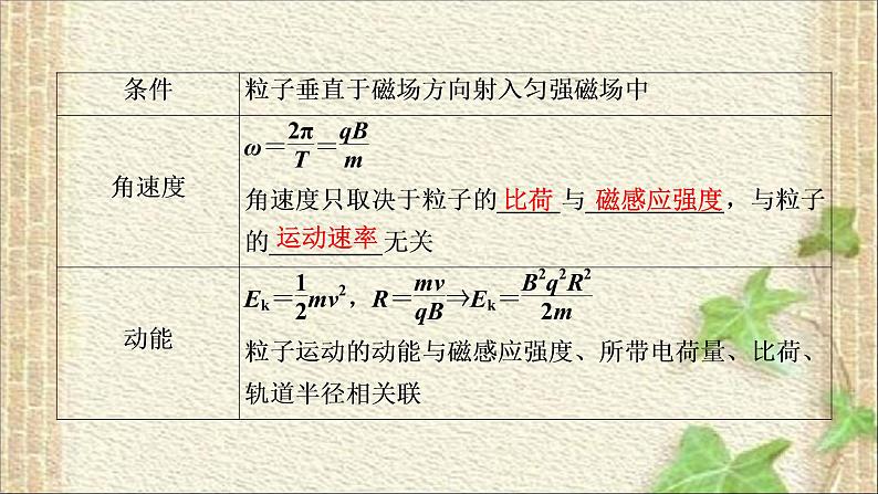 2022-2023年高考物理一轮复习 磁场 课件第6页