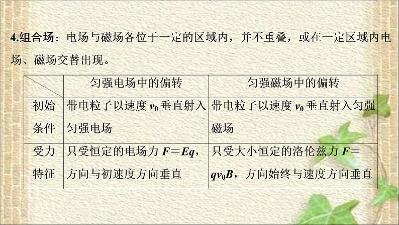 2022-2023年高考物理一轮复习 磁场 课件第7页