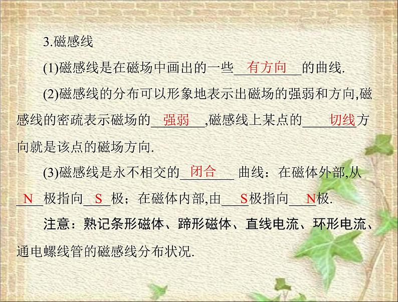 2022-2023年高考物理一轮复习 磁场磁场对电流的作用 课件第4页
