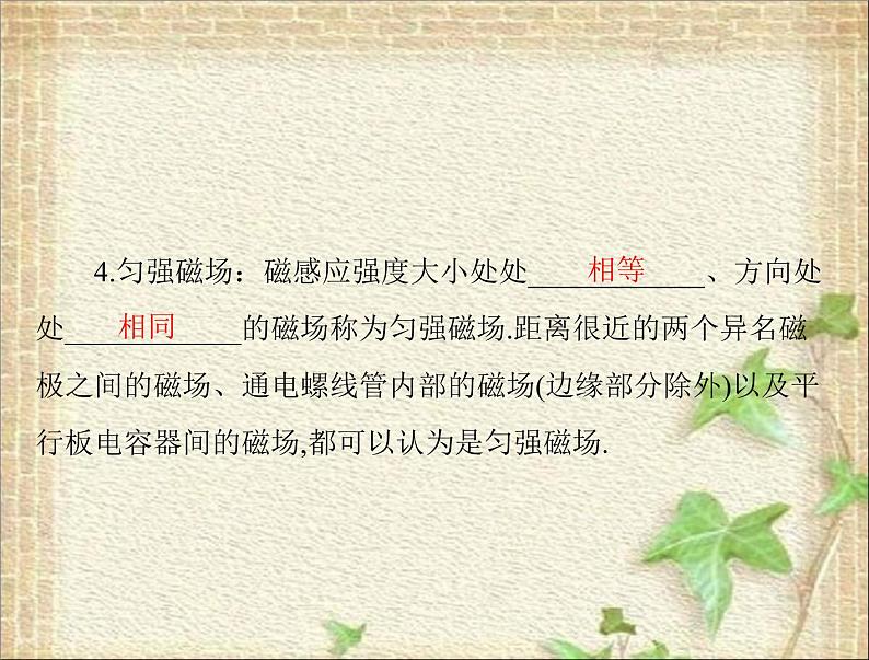 2022-2023年高考物理一轮复习 磁场磁场对电流的作用 课件第5页