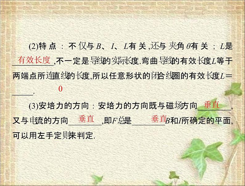2022-2023年高考物理一轮复习 磁场磁场对电流的作用 课件第7页
