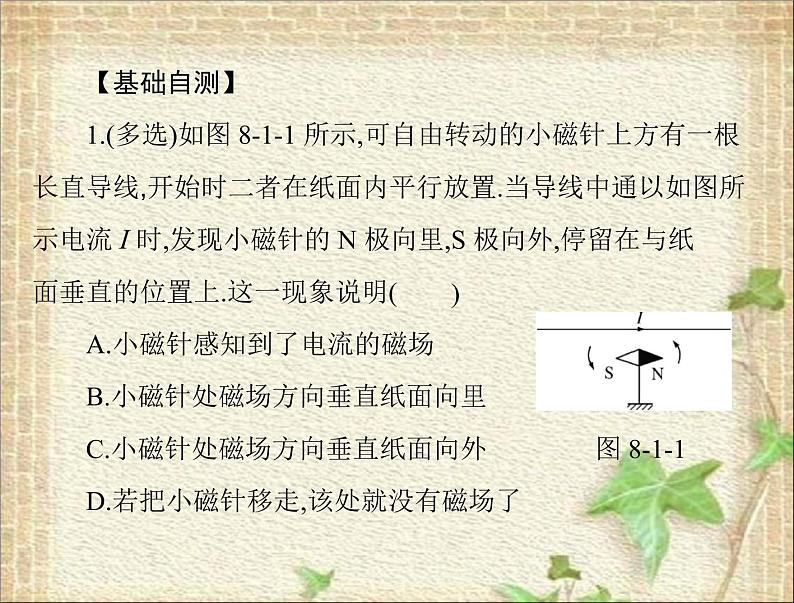 2022-2023年高考物理一轮复习 磁场磁场对电流的作用 课件第8页