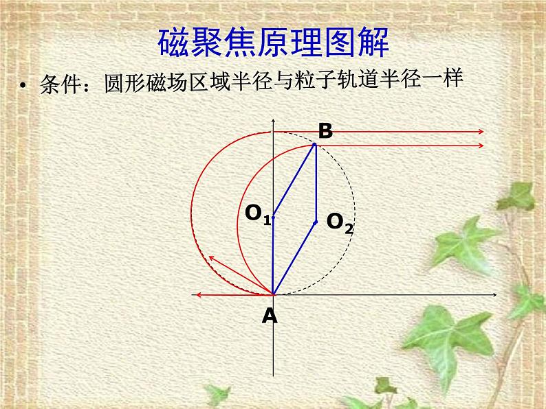 2022-2023年高考物理一轮复习 带电粒子在磁场中的运动——磁聚焦 课件03