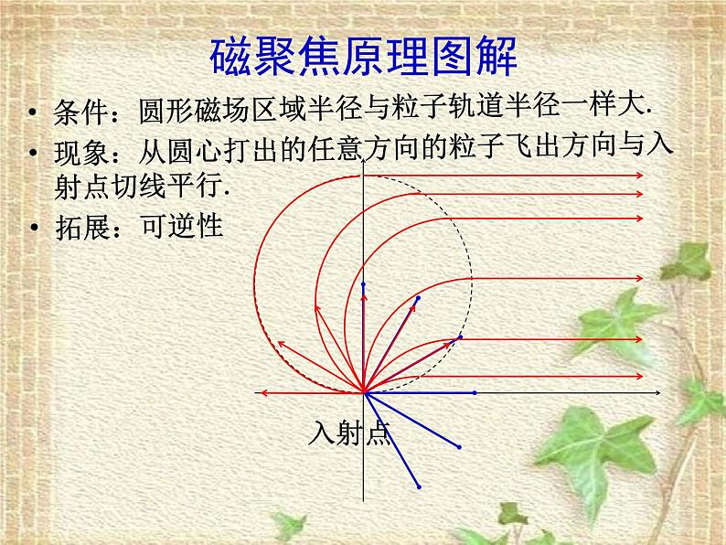 2022-2023年高考物理一轮复习 带电粒子在磁场中的运动——磁聚焦 课件04