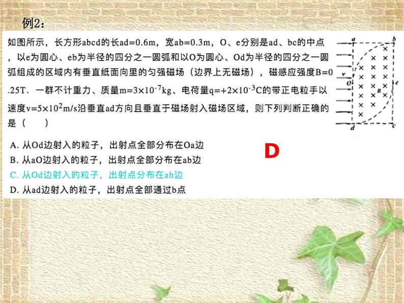 2022-2023年高考物理一轮复习 带电粒子在磁场中的运动——磁聚焦 课件06