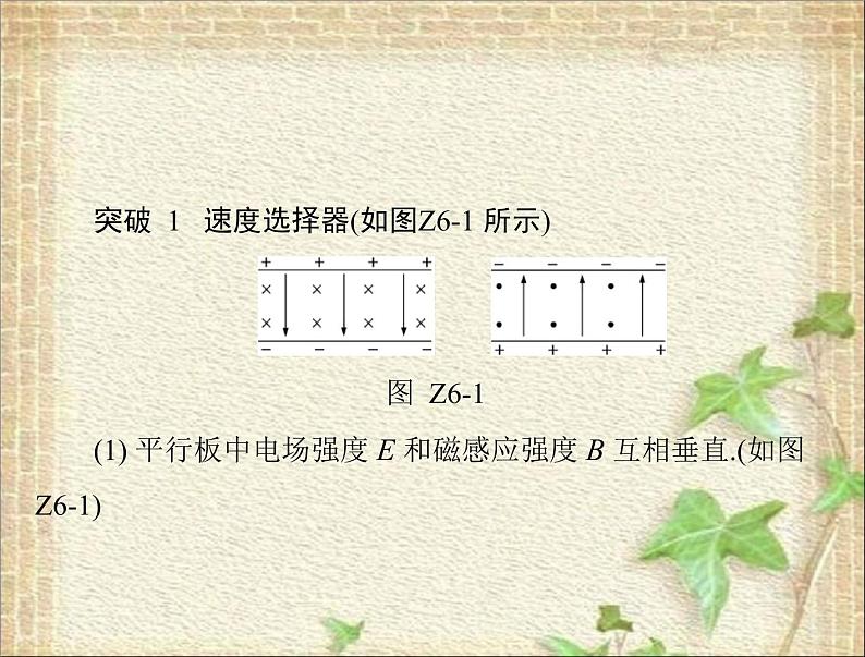2022-2023年高考物理一轮复习 带电粒子在复合场中运动的科技应用课件第1页
