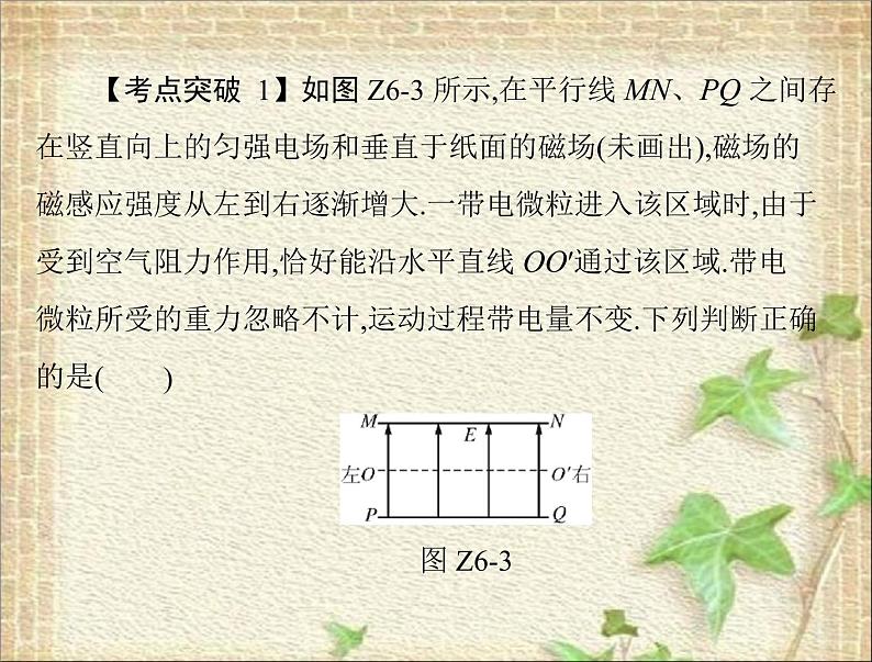 2022-2023年高考物理一轮复习 带电粒子在复合场中运动的科技应用课件第5页