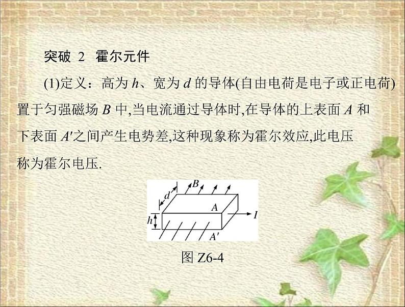 2022-2023年高考物理一轮复习 带电粒子在复合场中运动的科技应用课件第7页