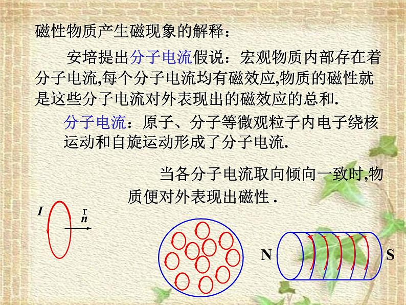 2022-2023年高中物理竞赛 电磁学7磁场毕-萨定律.ppt第5页