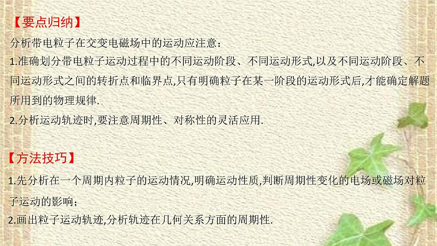 2022-2023年高考物理一輪復(fù)習(xí) 帶電粒子在交變電磁場(chǎng)中的運(yùn)動(dòng)課件第2頁