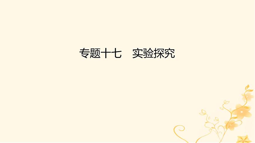高考物理二輪復(fù)習(xí)精練專題十七實(shí)驗(yàn)探究課件第1頁(yè)