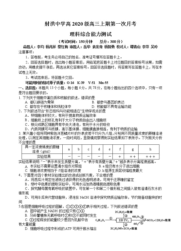 2023遂宁射洪中学高三上学期第一次月考试题(9月)理综含答案(缺物理答案)01