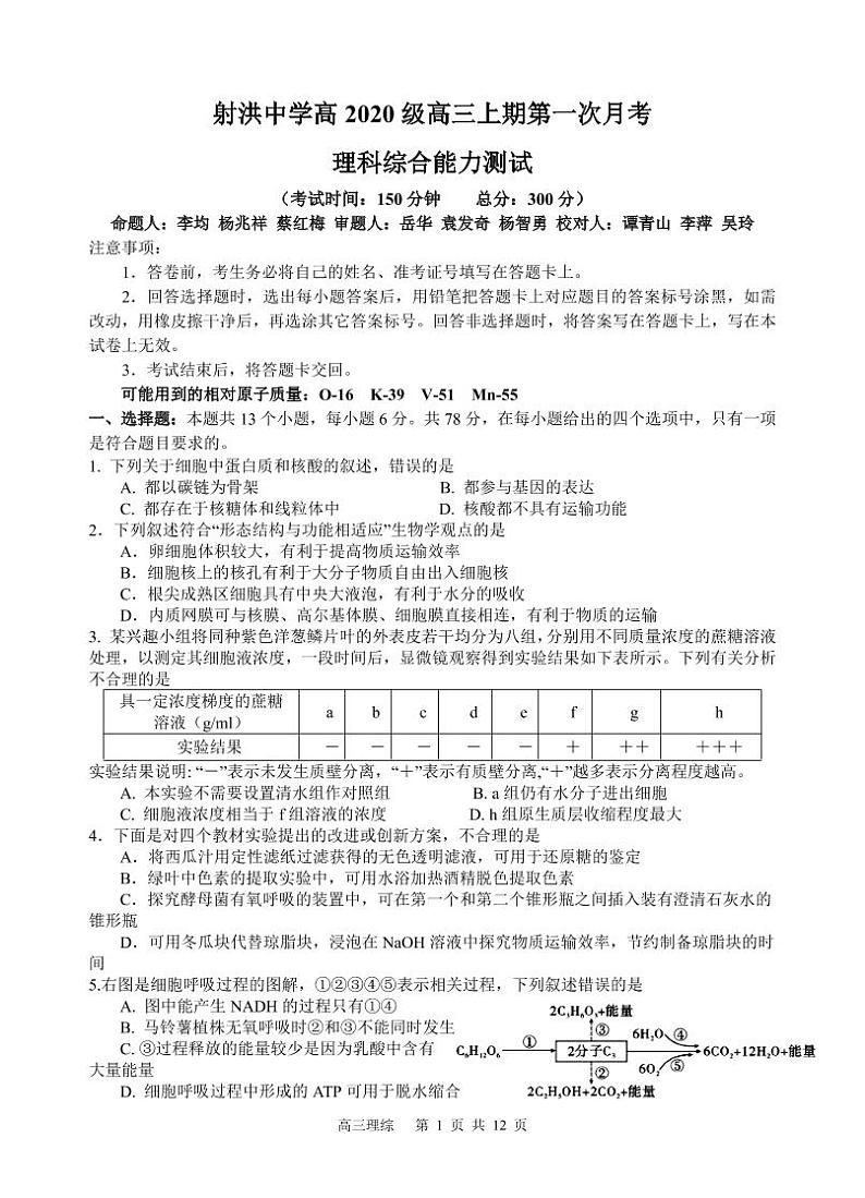 2023遂宁射洪中学高三上学期第一次月考试题(9月)理综含答案(缺物理答案)01