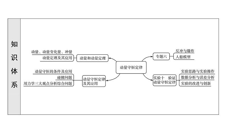人教版高考物理一轮总复习第9章第1讲动量和动量定理课件第5页