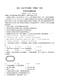 江苏省镇江市实验高级中学2022-2023学年高一上学期月考物理试题（含答案）