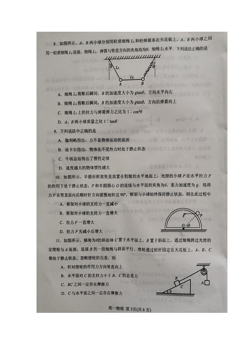 2020南阳高一上学期期终质量评估物理试卷扫描版含答案第3页