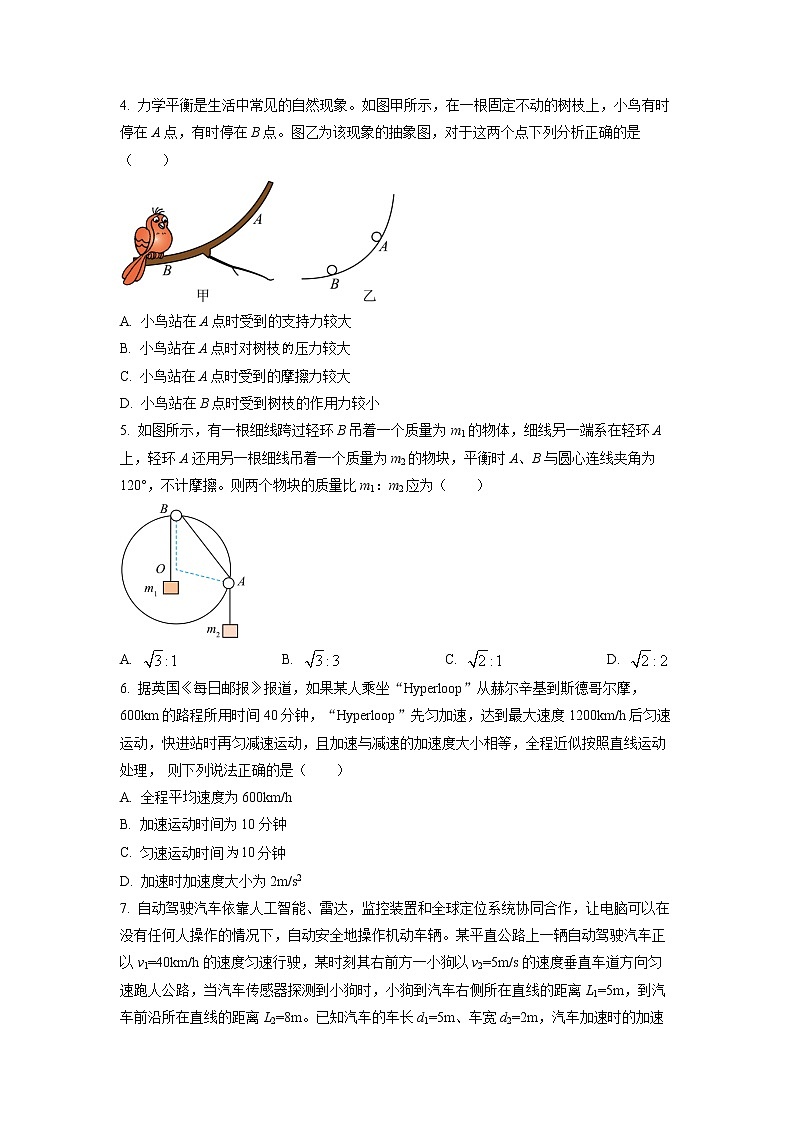 吉林省东北师范大学附属中学2022-2023学年高一上学期期中物理试题第2页