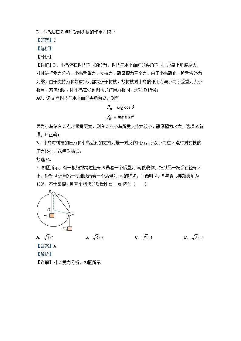 吉林省东北师范大学附属中学2022-2023学年高一上学期期中物理试题含解析第3页