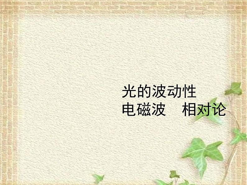 2022-2023年高考物理一轮复习 光的波动性 电磁波 相对论课件01