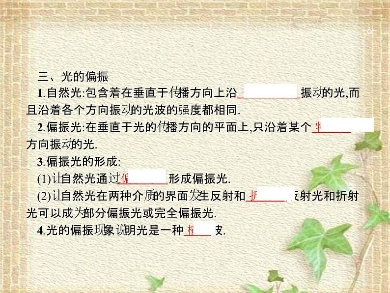 2022-2023年高考物理一轮复习 光的波动性 电磁波 相对论课件06