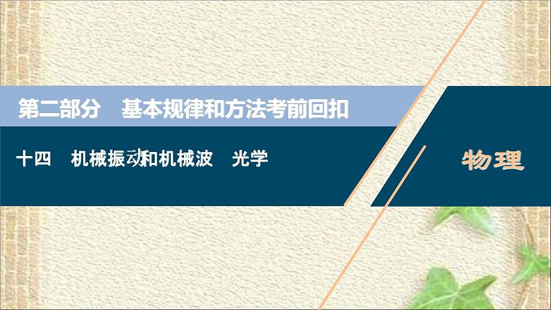 2022-2023年高考物理一轮复习 机械振动和机械波 光学课件01