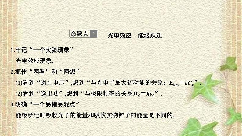2022-2023年高考物理一轮复习 近代物理初步课件02