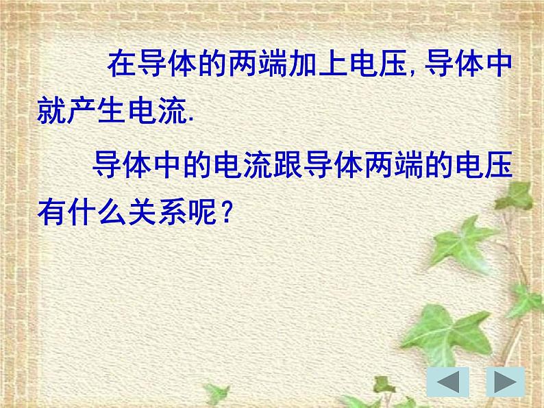 2022-2023年高考物理一轮复习 欧姆定律 (2)课件02