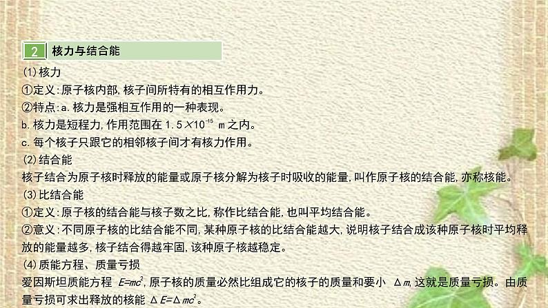 2022-2023年高考物理一轮复习 天然放射现象 核反应 核能课件05
