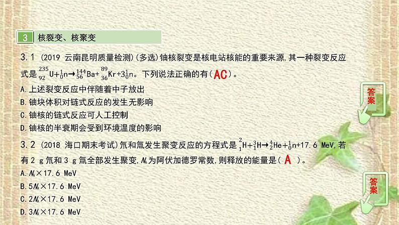 2022-2023年高考物理一轮复习 天然放射现象 核反应 核能课件08