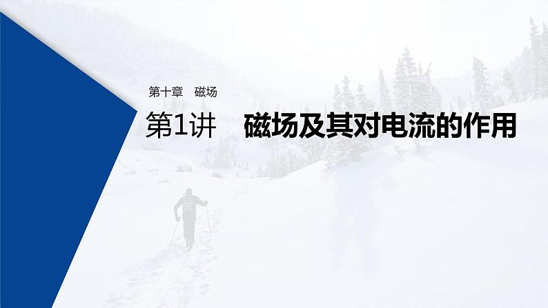 (新高考)高考物理一轮复习课件第10章 第1讲 磁场及其对电流的作用(含解析)01