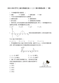 2021-2022学年上海市黄浦区高三(上)期末物理试卷(一模)(含答案解析)