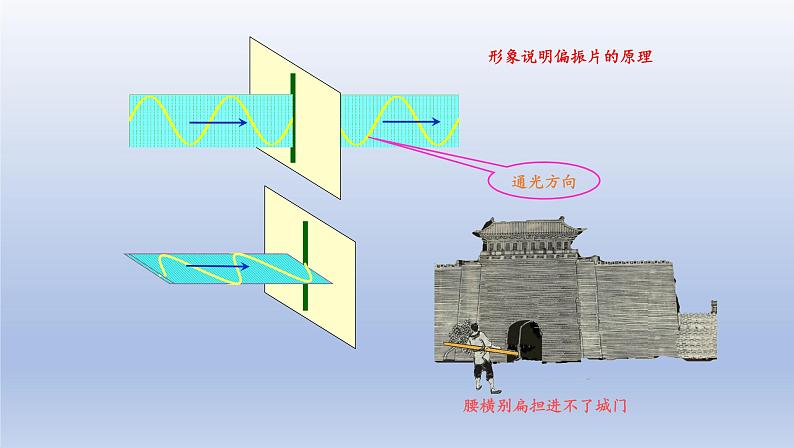 4.6光的偏振 激光 课件 高二上学期物理人教版(2019)选择性必修第一册第4页