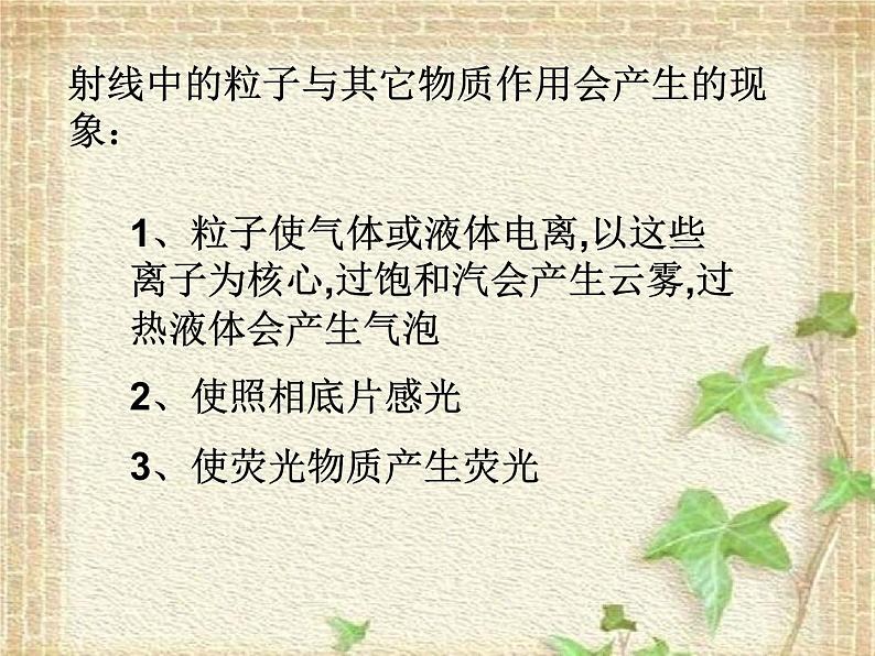 2022-2023年高考物理一轮复习 探测射线的方法课件第7页