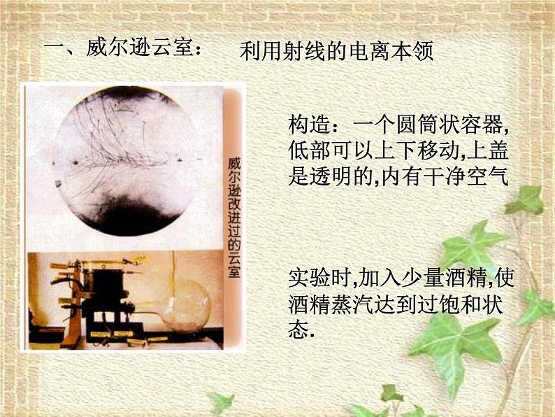 2022-2023年高考物理一轮复习 探测射线的方法课件第8页