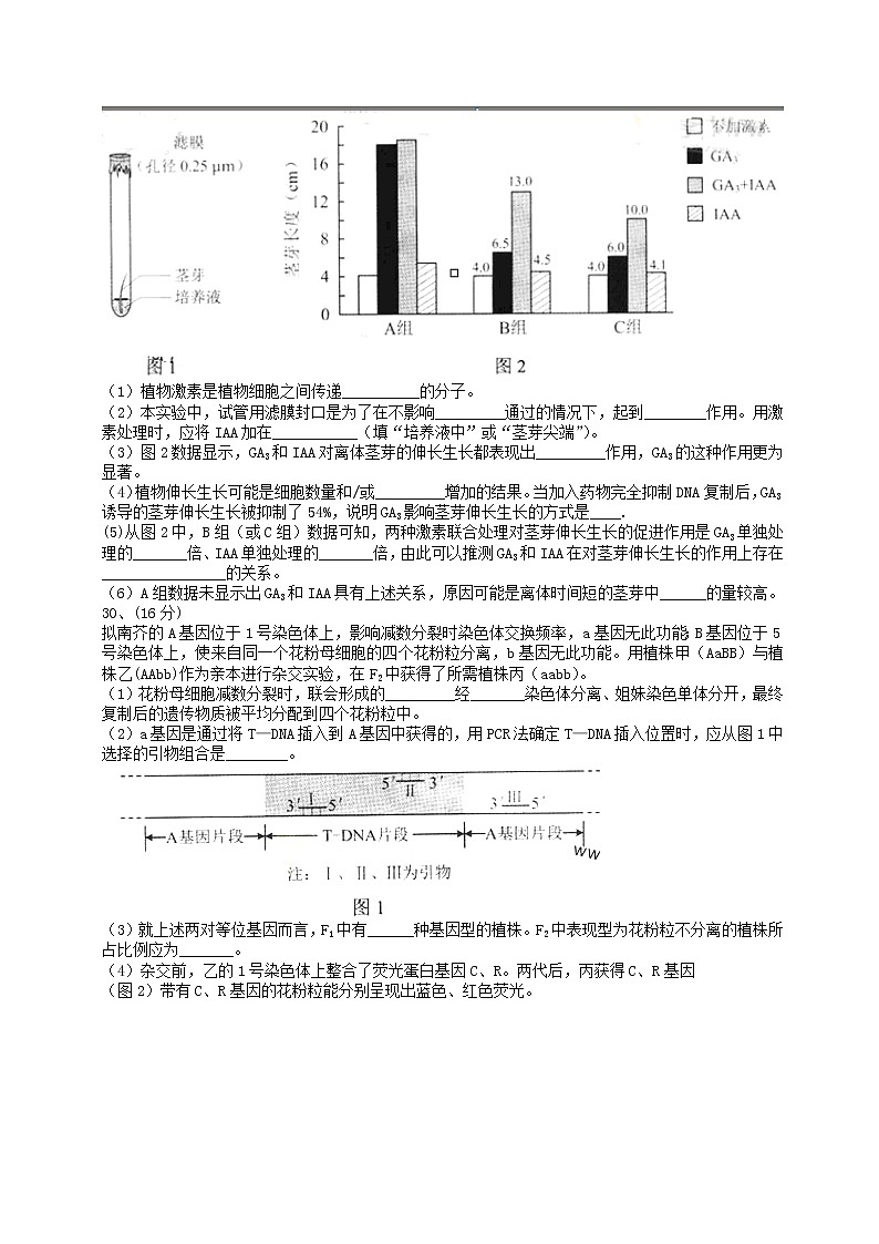 高中物理高考 2014年普通高等学校招生全国统一考试理综试题(北京卷,含答案)第2页