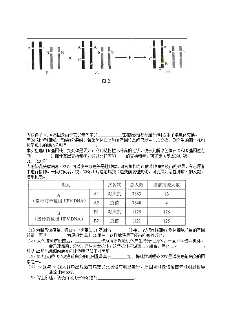 高中物理高考 2014年普通高等学校招生全国统一考试理综试题(北京卷,含答案)第3页
