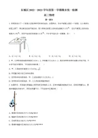 北京市东城区2022-2023学年高三上学期期末考试物理试题+含答案