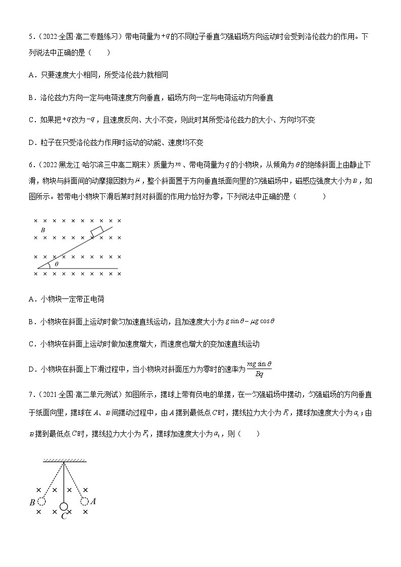 1.2磁场对运动电荷的作用力(练习)-高中物理课件(人教版2019选择性必修第二册)02