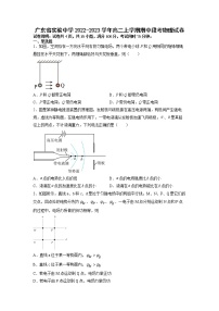 2022-2023学年广东省实验中学高二上学期期中段考物理试题（解析版）