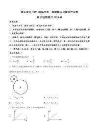 2023届上海市浦东新区高三上学期一模物理试题（PDF版）