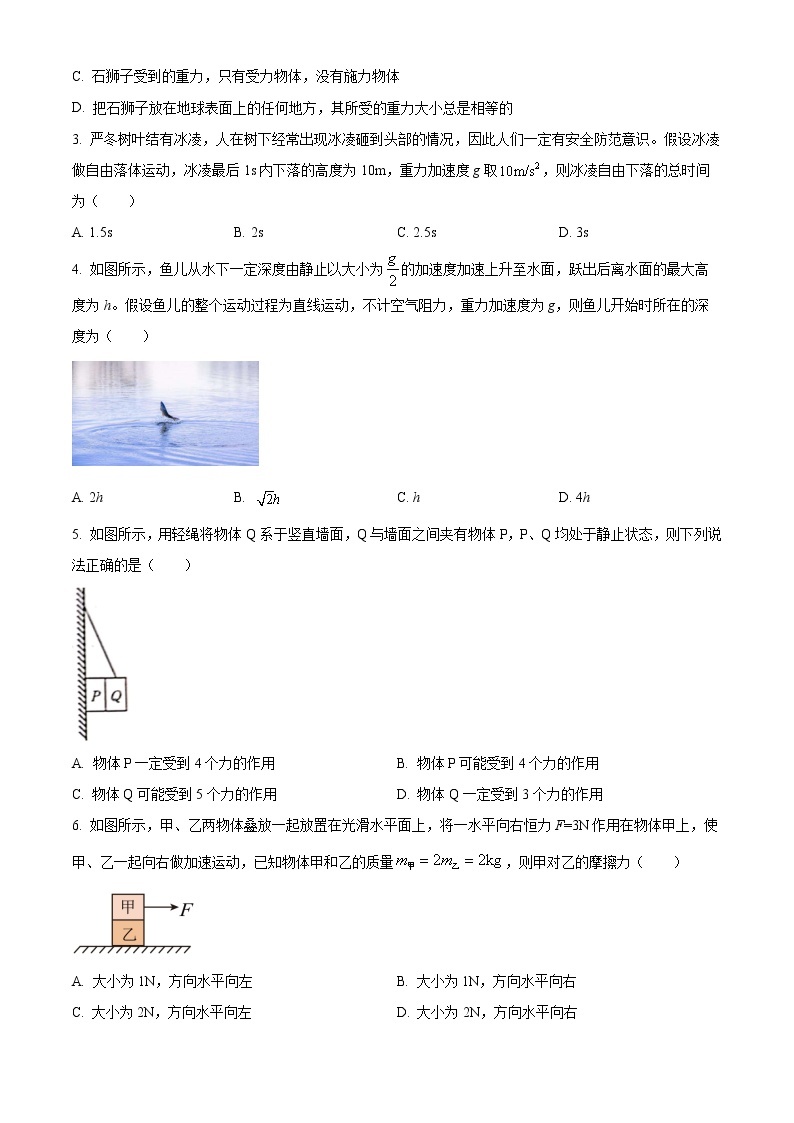 2023沧州高一上学期期末物理试题含答案02