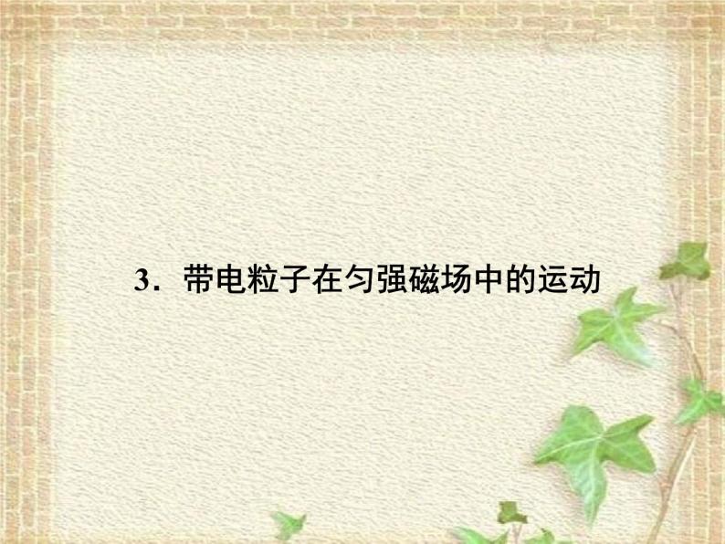 2022-2023年人教版(2019)新教材高中物理选择性必修2 第1章安培力与洛伦兹力第3节带电粒子在匀强磁场中的运动课件01