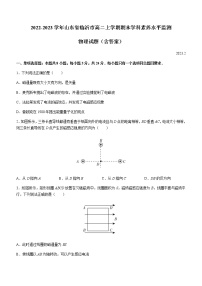 2022-2023学年山东省临沂市高二上学期期末学科素养水平监测物理试题（含答案）