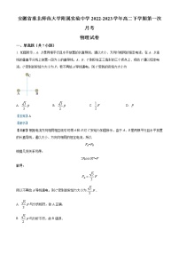 2022-2023学年安徽省淮北师范大学附属实验中学高二下学期第一次月考物理试题  （解析版）