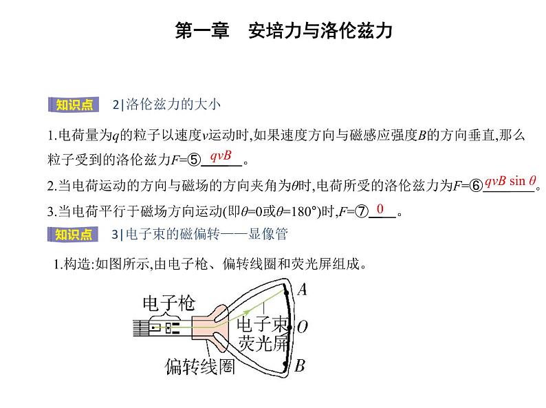 2 磁场对运动电荷的作用力课件PPT03