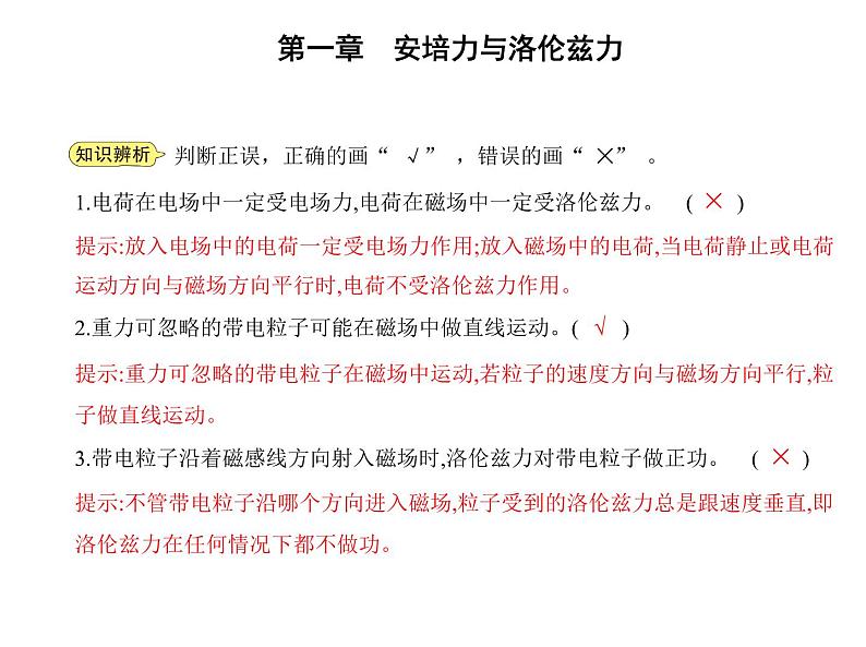2 磁场对运动电荷的作用力课件PPT05