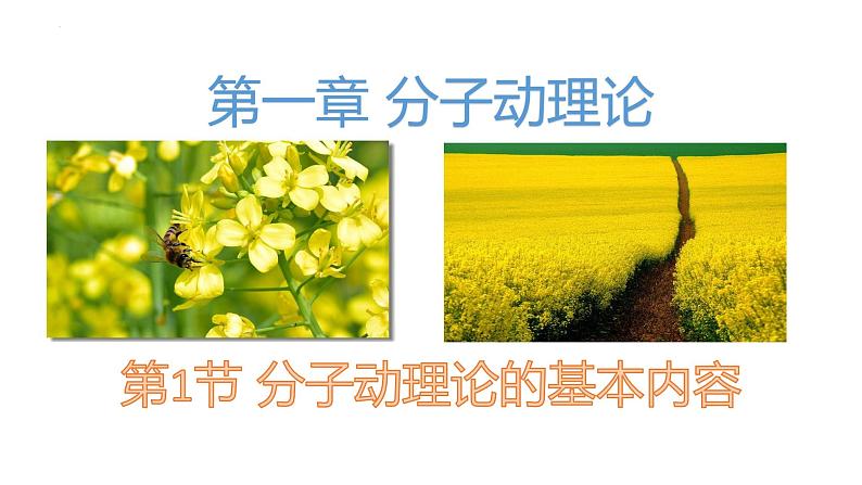 第一章第一节 分子动理论的基本内容课件 高二下学期物理人教版(2019)选择性必修三第1页