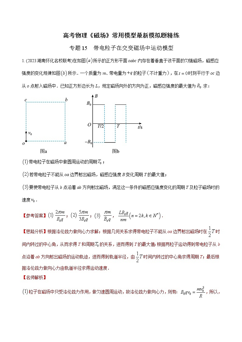 专题15. 带电粒子在交变磁场中运动模型(解析版)第1页